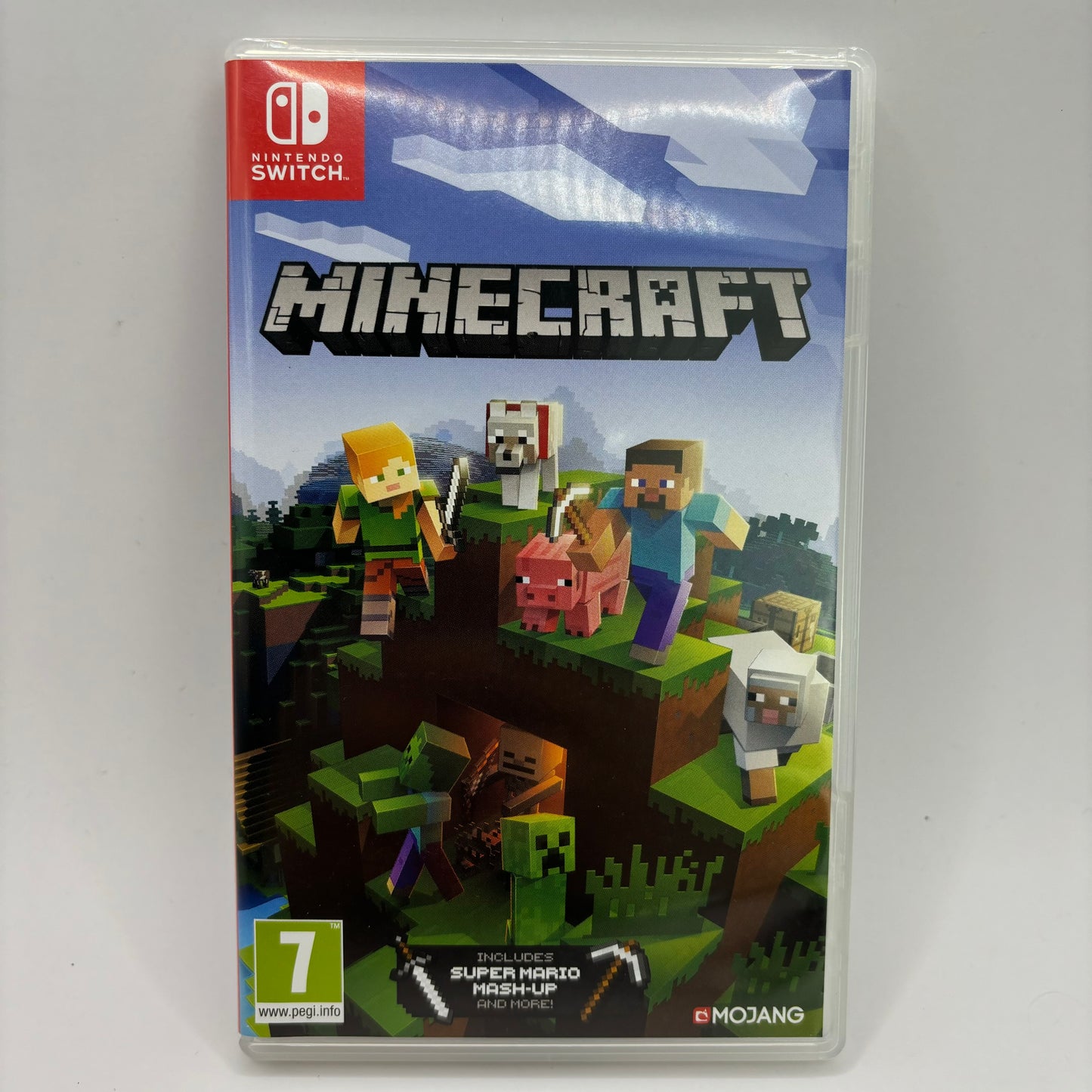 Minecraft Switch